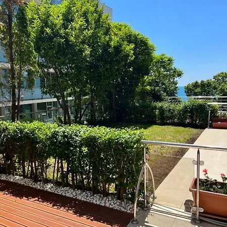 Tm Panorama נסבר